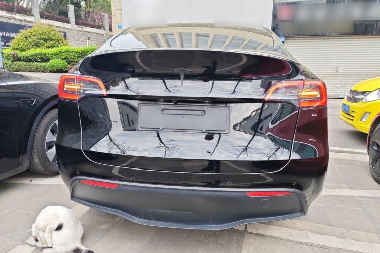 Used Tesla Model Y 2022 Long-Range All-Wheel-Drive Version