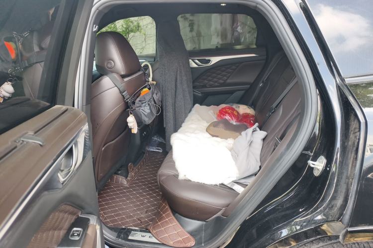 Used Wey Mocha 2021 2.0T Two-Wheel-Drive Premium Edition Left Rear Seat