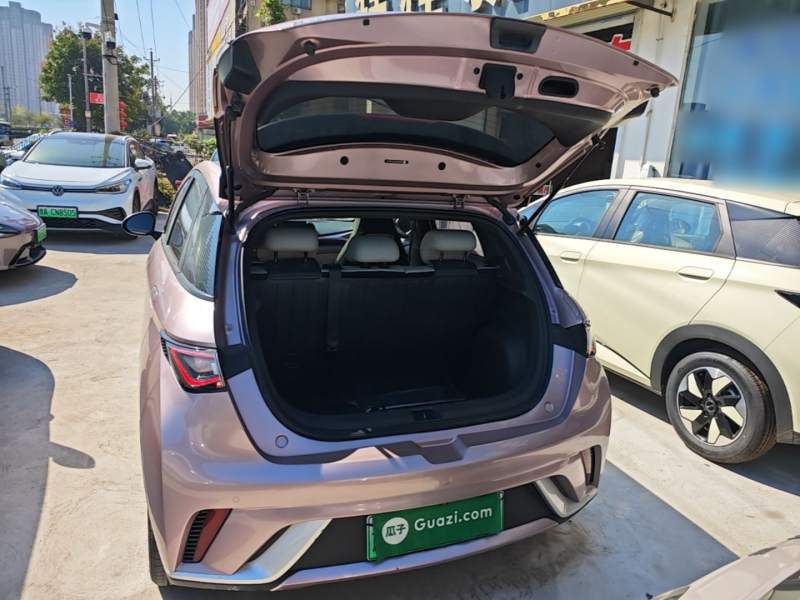 Used BYD Dolphin 2023 420 km Fashion Edition — 18