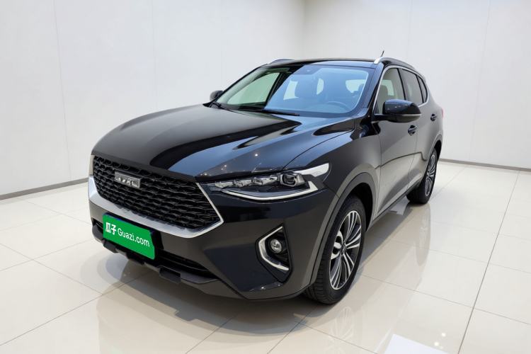 Used Haval F7 2020 2.0T Two-Wheel Drive i-Van