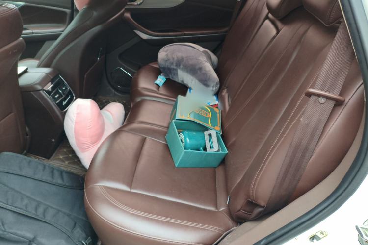 Used Leopaard Mattu 2018 1.6T GDI Manual Elite Model
