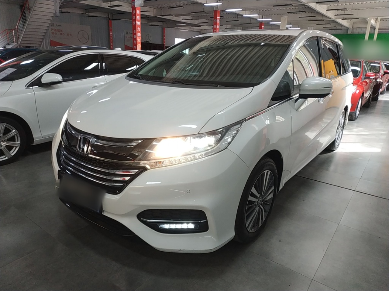 Parte inferior delantera