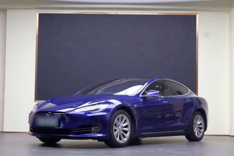 Used Tesla Model S 2019 Long-Range Version