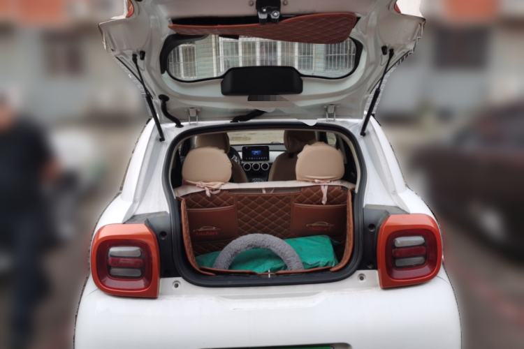 Used ORA Black Cat 2019 351 km Goddess Edition Trunk