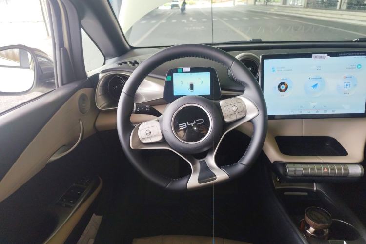 Used BYD Dolphin 2025 420km Free Edition
