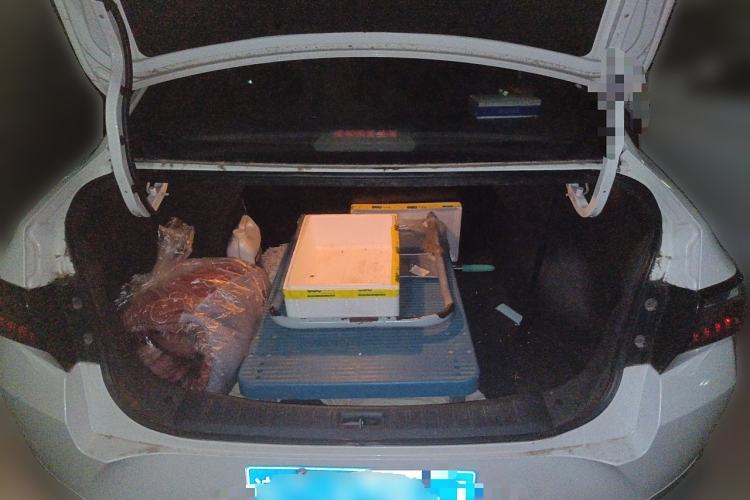 Used Venucia D60 2020 1.6L XL CVT Enjoyment Edition