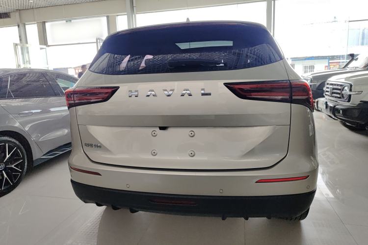Used Haval H6 2024 1.5T Two-Wheel Drive Ultra