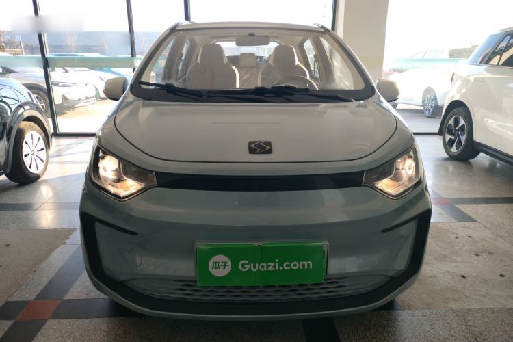 Used SOL E10X 2022 Flower Fairy Style Baby's Breath
