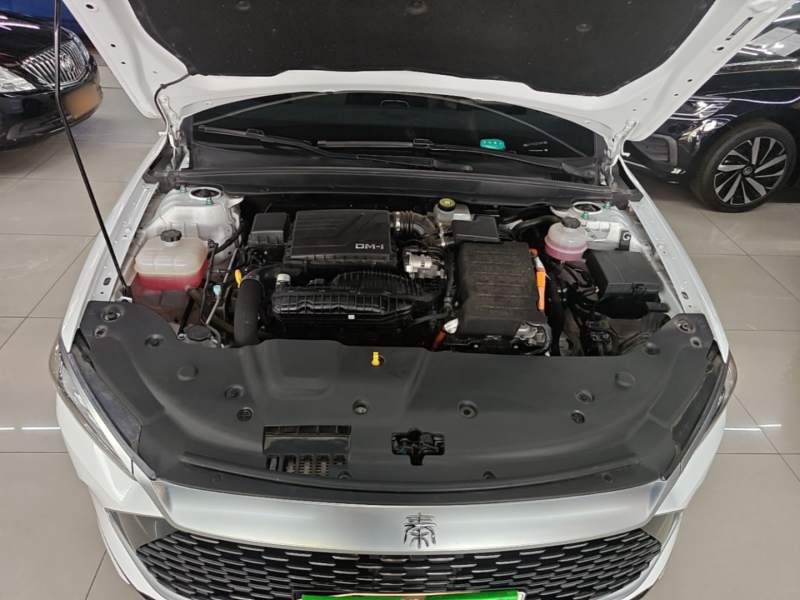 Used BYD Qin PLUS 2024 HONOR Edition DM-i 55KM Leading Model — 19