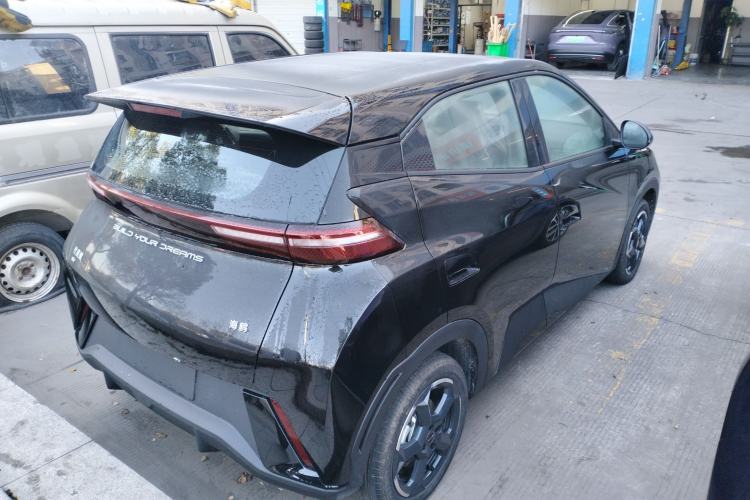 Used BYD Seagull 2024 Honor Edition 405km Flying Version Exterior 5