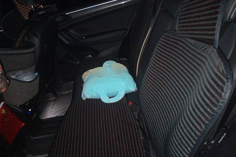 Used Volkswagen Tiguan L 2020 330TSI Automatic Two-Wheel Drive R-Line Flagship Version China VI Standard
