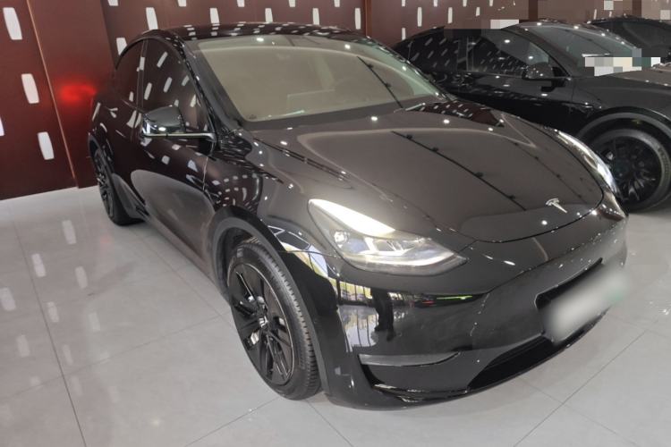 Used Tesla Model Y 2021 Standard Range Rear-Wheel Drive Version