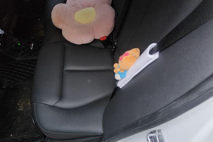 Used BMW 3 Series 2016 320Li Fashion Model Left Rear Seat