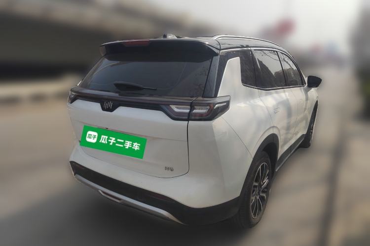 Used WM Motor W6 2021 520km PRO All-Round Edition
