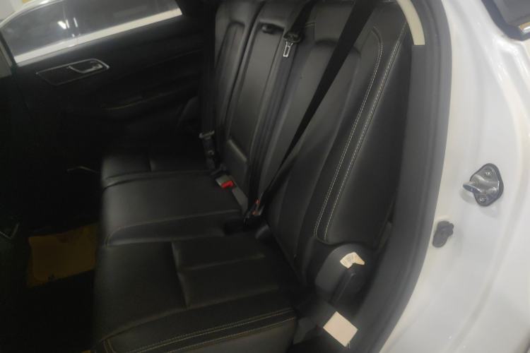 Used JMC Yusheng S350 2020 2.0T Automatic All-Wheel Drive Gasoline Comfort Edition Left Rear Seat