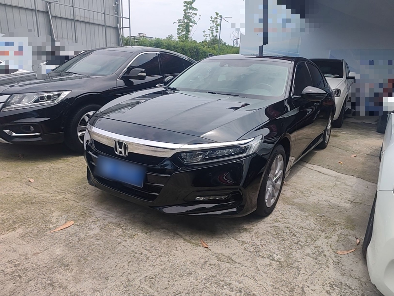 Under Front Bumper