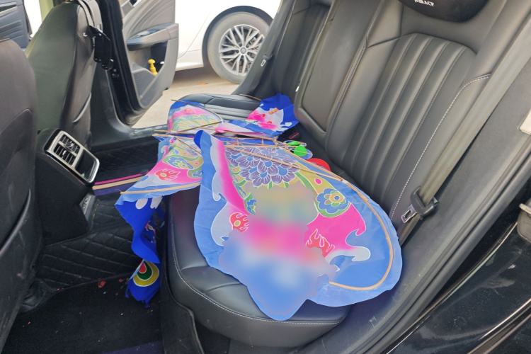 Used Volkswagen Passat 2023 Revised Version 280TSI Business Edition Left Rear Seat