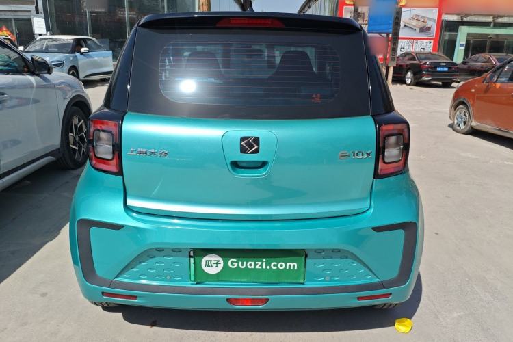 Used SOL E10X 2022 Flower Fairy Design Four-Leaf Clover
