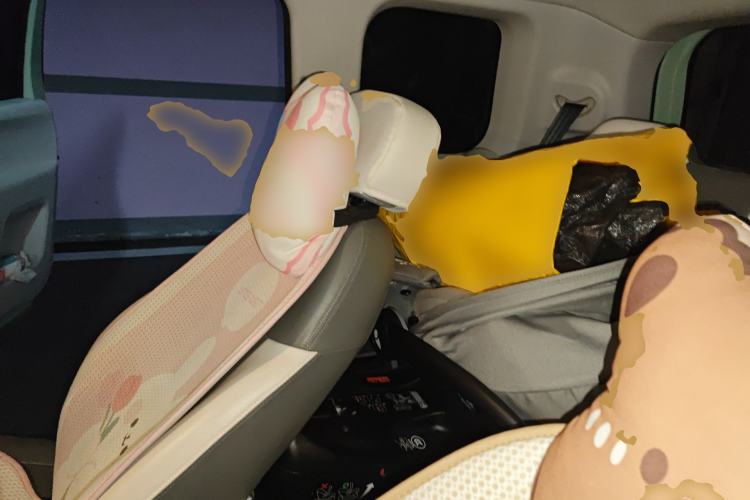 Used CHANGAN NEVO Lumin 2022 301km Honey-Sweet Version Left Rear Seat