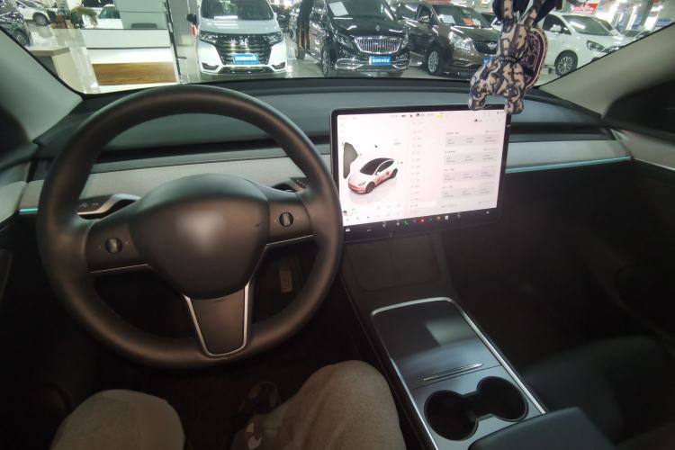 Used Tesla Model Y 2023 Rear-Wheel-Drive Version