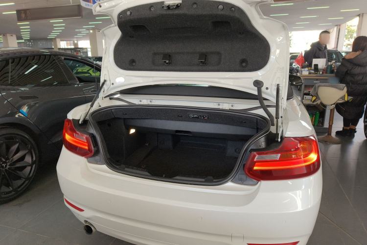 Used BMW 2 Series (Import) 2015 220i Convertible Coupe Leading Model
