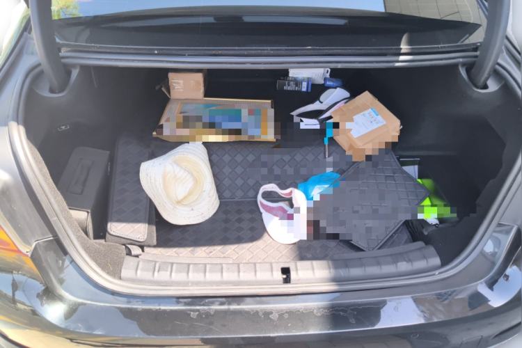 Used BMW 5 Series New Energy 2019 530Le Luxury Package