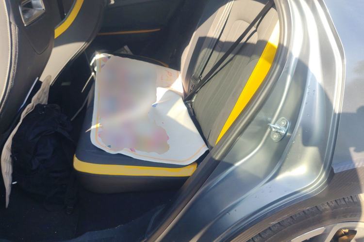 Used ORA Good Cat GT 2023 Mulan Edition 401km Luxury Version
