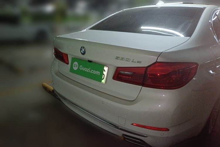 Used BMW 5 Series New Energy 2020 530Le Pioneer Edition Rear