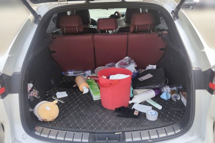 Used Lexus NX New Energy 2022 400h+ Comfort Edition Trunk