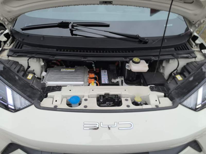 Used BYD Seagull 2023 Free Edition — 19