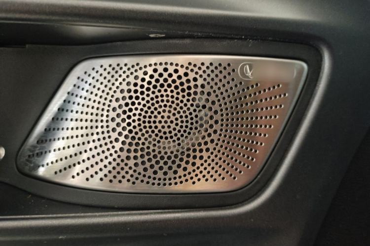 Used Tank 300 2024 2.0T Conqueror