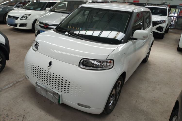 Used ORA White Cat 2020 305 km Luxury Version