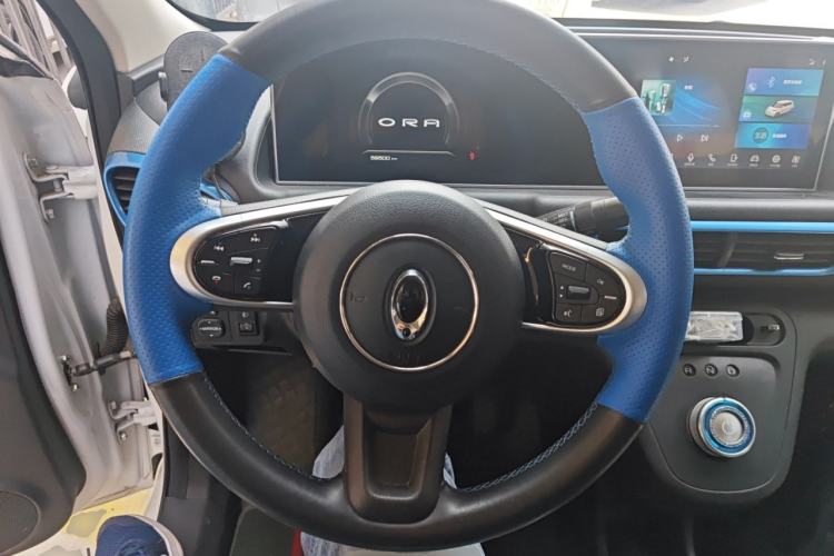 Used ORA White Cat 2020 305 km Luxury Version