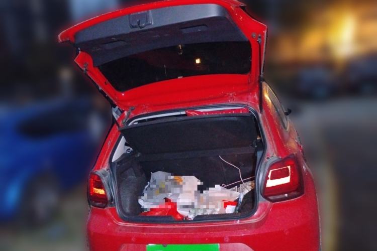 Used Volkswagen Polo 2018 1.5L Automatic Advanced Driving Model Trunk