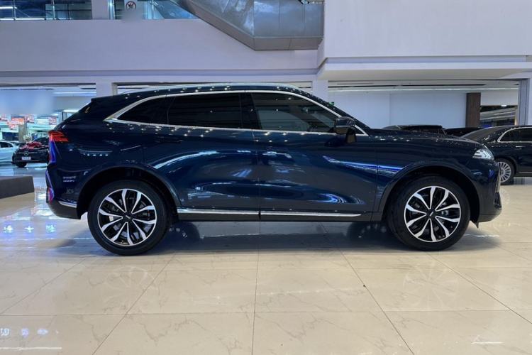 Used Wey Mocha 2021 2.0T Two-Wheel-Drive Premium Edition
