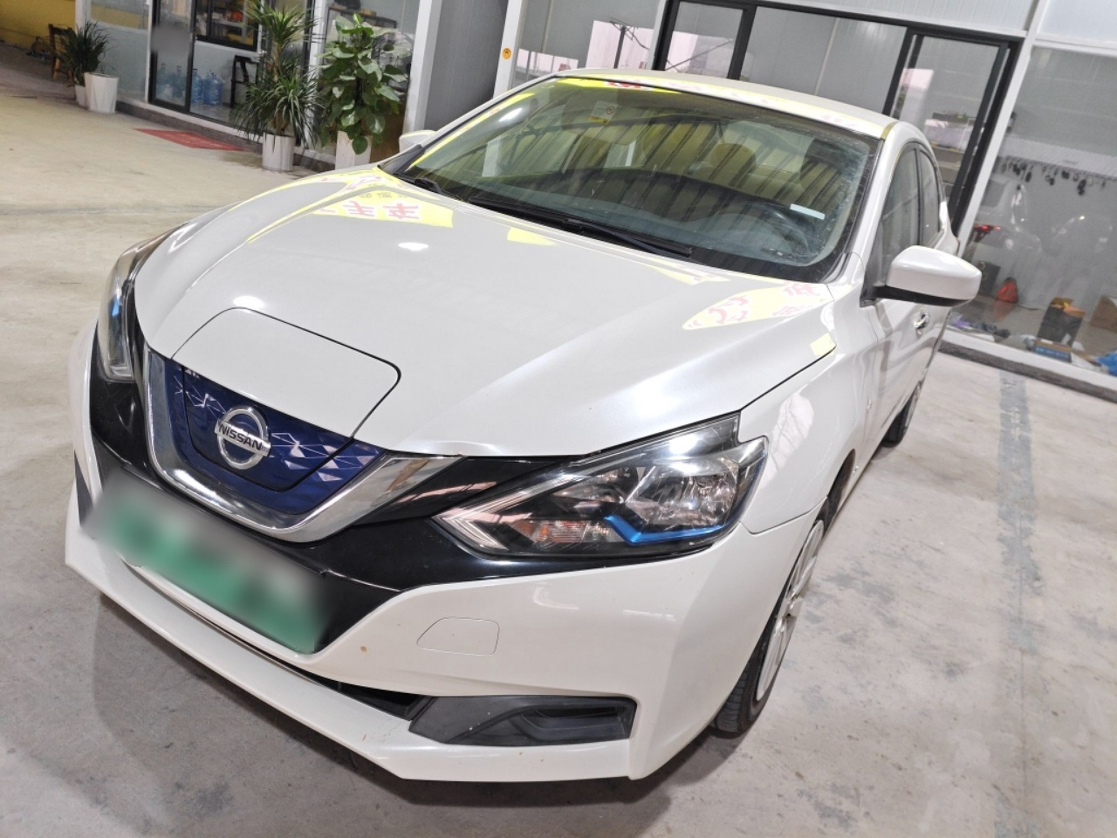 تحت مقدمة السيارة