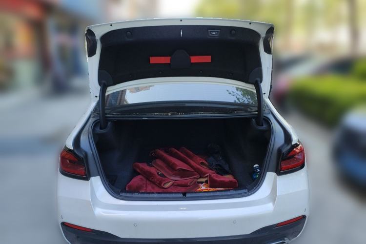 Used BMW 5 Series 2021 530Li Leading Model M Sport Package
