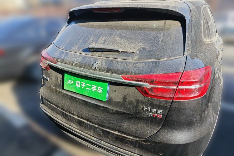 Used Hongqi HS5 2019 2.0T Smart Connect Flagship Edition Rear