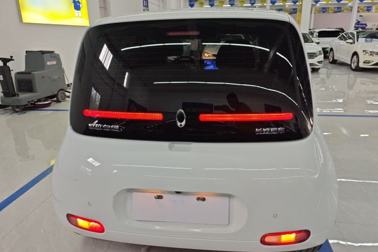 Used ORA White Cat 2020 305 km Luxury Version Rear