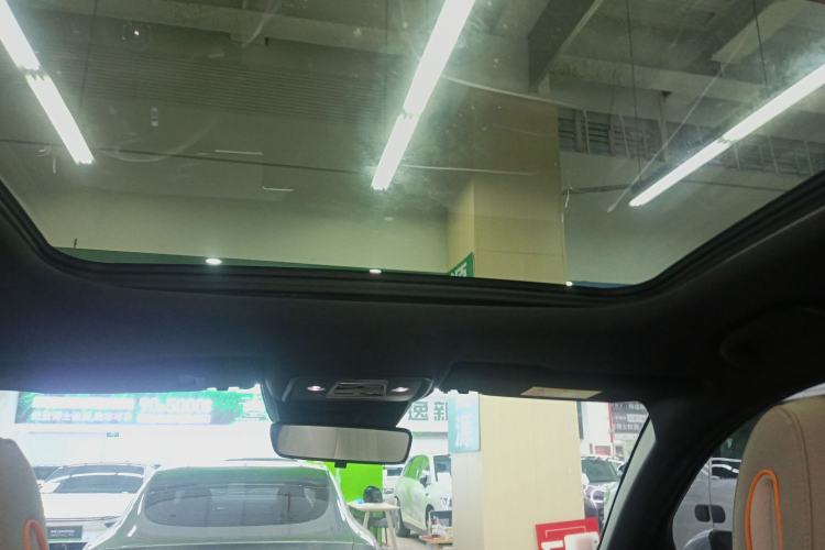 Used BYD Song Pro New Energy 2023 Champion Edition DM-i 71KM Beyond Model Headliner