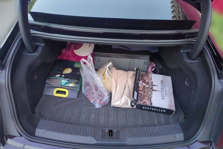 Used Hongqi H9 2020 2.0T Smart Connect Flagship Edition
