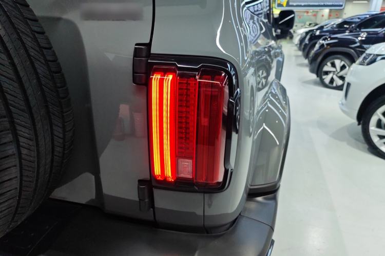 Used Tank 300 2021 City Edition 2.0T—Truly Stylish Exterior 3