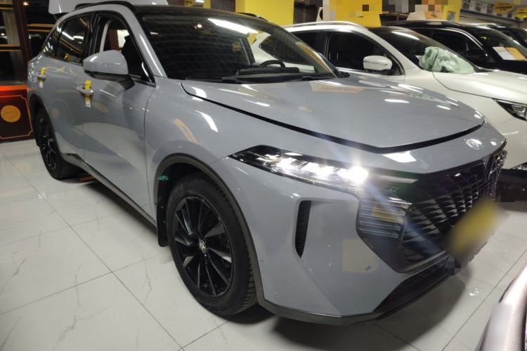 Used Venucia V 2021 260T Tianwang Edition
