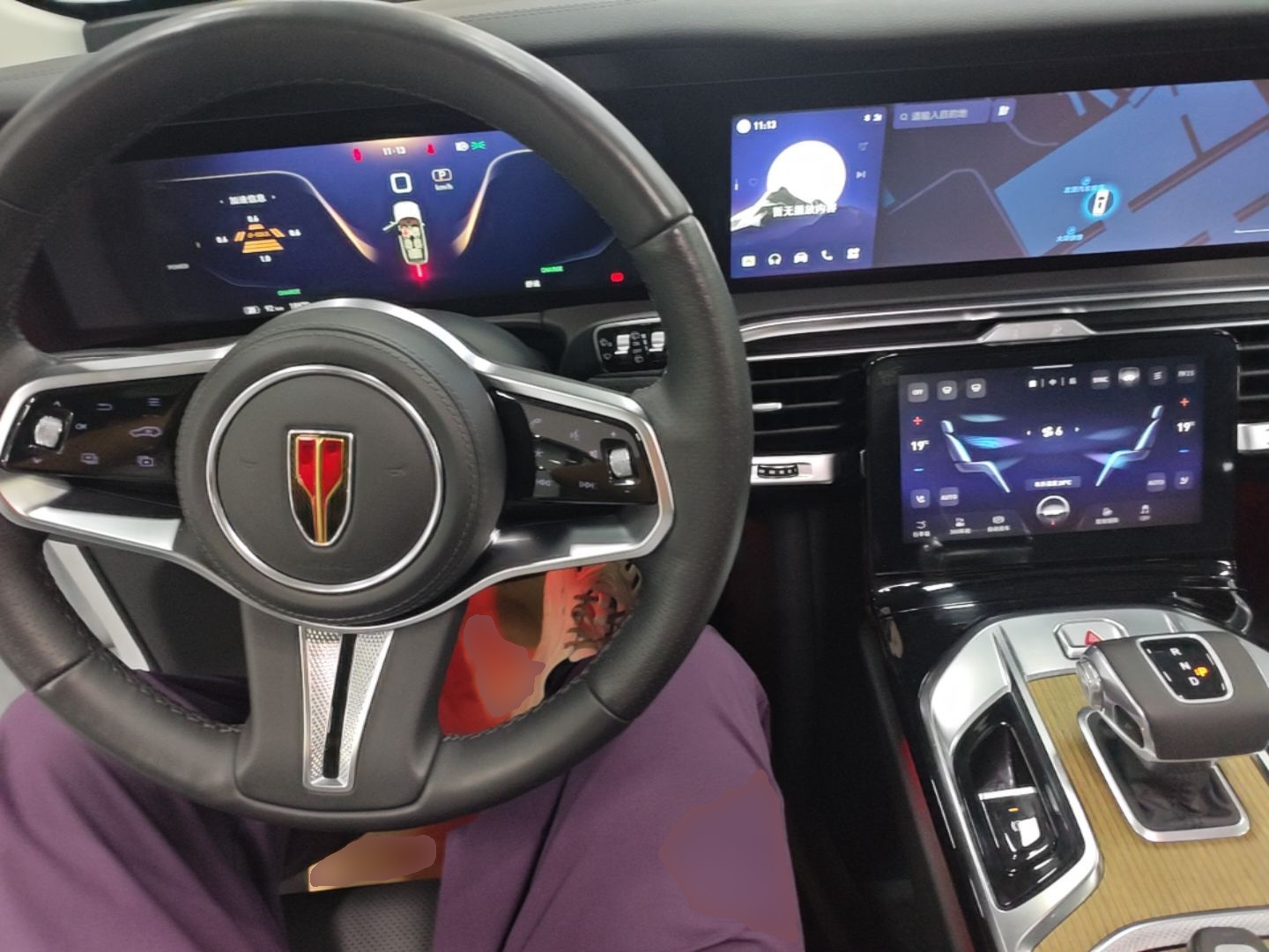 Hongqi E-HS9 2022 690 km Range Flagship Edition Six Seats — снимка 12