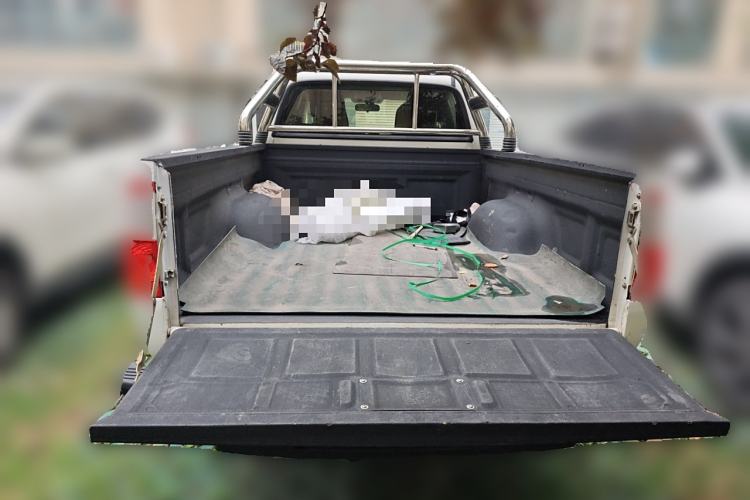 Used Zxauto Grandtiger 2019 1.5T Off-Road Version Gasoline China VI Standard Two-Wheel Drive Big Double-Cab
