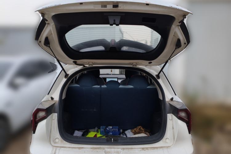 Used Geometry E Firefly 2023 401KM Linglong Tiger 5-Seater
