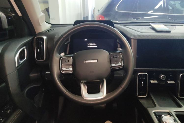Used Haval DARGO 2021 1.5T DCT Two-Wheel Drive Labrador Edition Steering Wheel