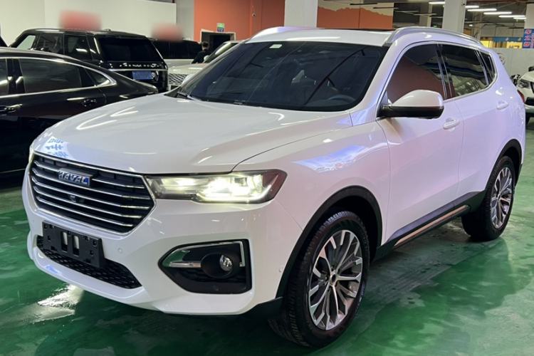 Used Haval H6 2018 Blue Label 2.0T Automatic Luxury Model Exterior 3