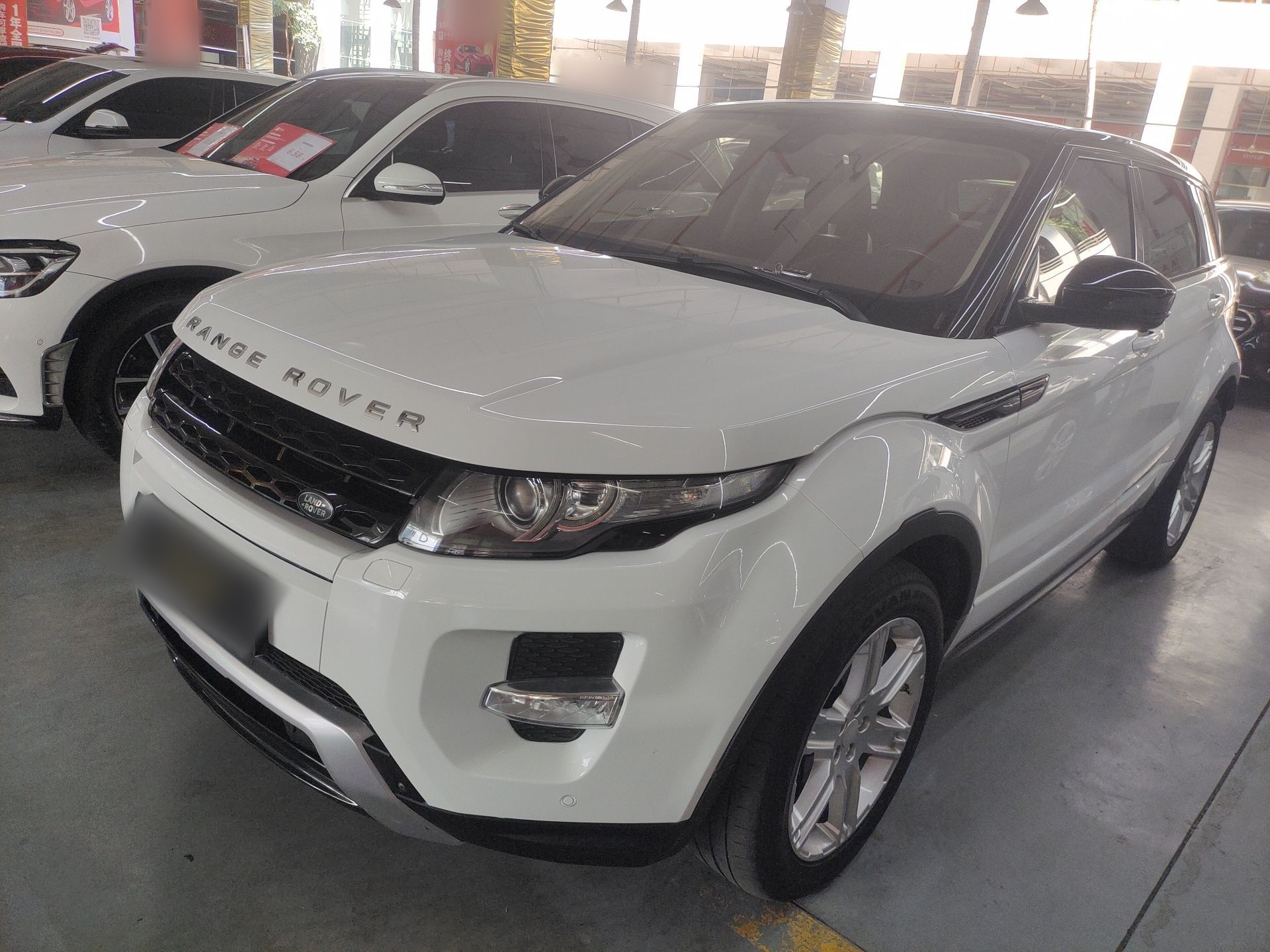 Parte inferior delantera