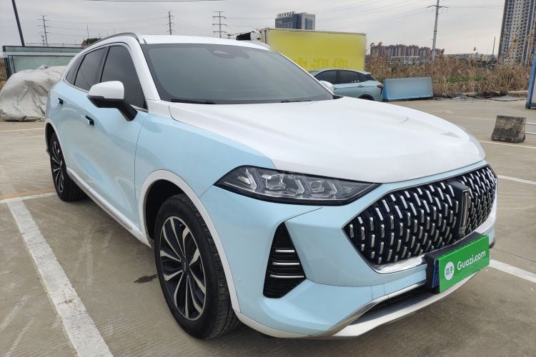 Used Wey Mocha 2021 2.0T Two-Wheel-Drive Ultra-Strong Version
